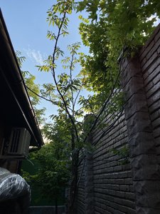 5213CA57-85C1-4F4E-B29B-A8B28B39CB0B.jpeg