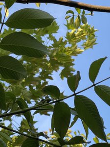 8C173D7A-F224-4AF5-A1F9-0900201BF647.jpeg