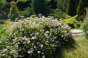 DSC03344.JPG