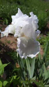 1eb3ef64-c616-4c90-a2d2-03d915aac5f7.jpg