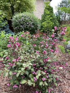 3D164055-B9CC-4DF0-BE95-92E2F92EDACE.jpeg