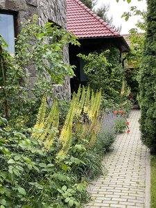 E347D573-5C5C-4EA2-A98A-60F8189093E6.jpeg
