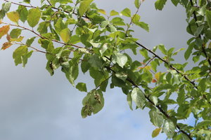 IMG_8067.JPG