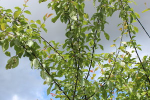 IMG_8068.JPG