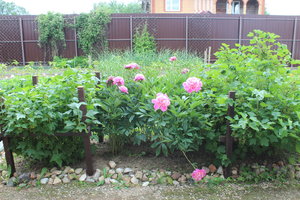 IMG_8054.JPG