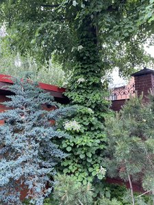 DF0C8E3A-93CC-4146-A146-61163E97CBF5.jpeg