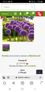 Screenshot_20220622-141343_Browser.jpg