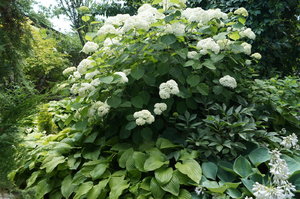 DSC03873.JPG
