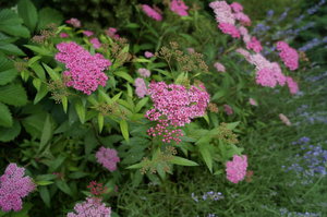 DSC03784.JPG