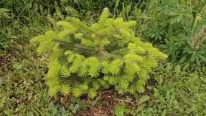 P_20220622_104924.jpg