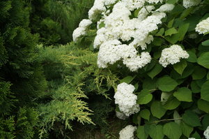 DSC07112.JPG
