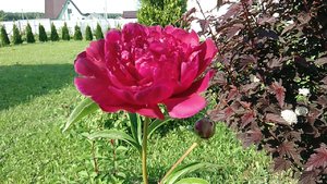 IMG_20220626_170403_144.jpg