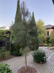 0CB11056-D11C-4C4D-98AB-3CFE8220BC17.jpeg