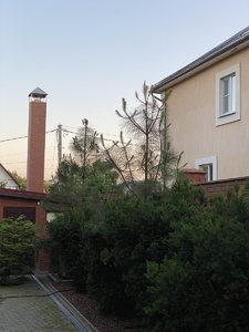 AA479261-1870-4AA4-B570-F860DB356EA8.jpeg
