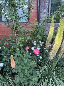 5C99E617-E631-450D-B261-8BF3579DB65D.jpeg