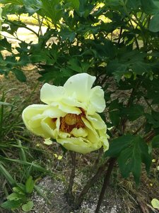 IMG_20220625_175248.jpg