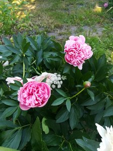 IMG_20220625_175115.jpg