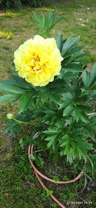 IMG-20220627-WA0005.jpg