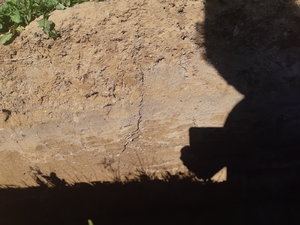 20220701_094724.jpg