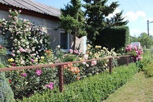 IMG_2543.JPG