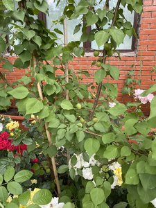 CD80BD3D-2615-4DF0-A75D-879034DAF914.jpeg