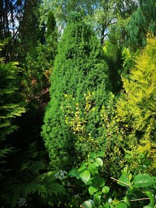 IMG_20220708_152355.jpg