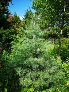 IMG_20220708_150600.jpg