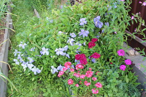 IMG_8154.JPG
