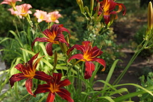 DSC04152.JPG