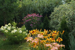 DSC04173.JPG