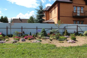 IMG_8172.JPG