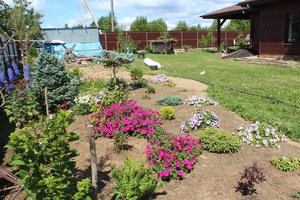 IMG_8176.JPG