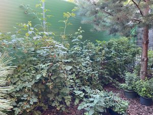 757EB076-6DF3-4A76-9511-591B107382F9.jpeg