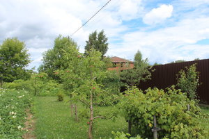 IMG_8218.JPG