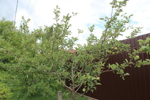 IMG_8221.JPG