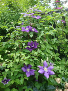 DSC09624.JPG