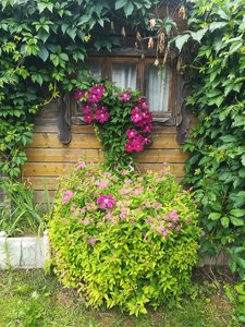 IMG_20220709_124722.jpg