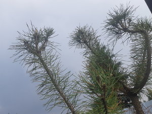 20220727_163655.jpg
