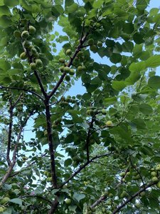 7E8B403F-893C-4E7E-99D9-60DB6F0CF584.jpeg