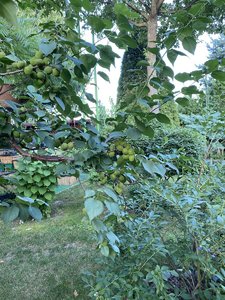 F550ED04-6A04-4B8B-8464-422112E70689.jpeg