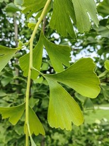 IMG_20220807_165947.jpg