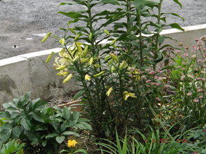 2022.08.05 _   DSCF8752.JPG