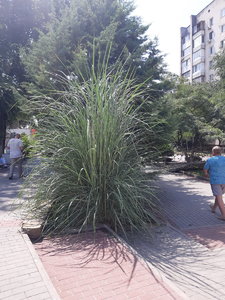 20220816_121451.jpg