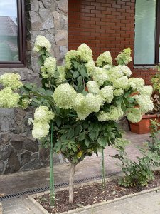 F6875397-BD59-4F16-A4E7-F44185FE1F96.jpeg