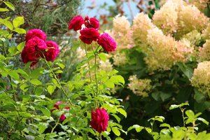 IMG_3846.JPG
