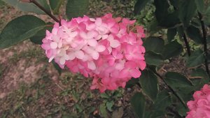 P_20220904_151511.jpg