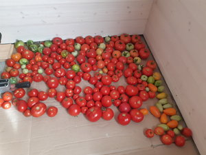 20220911_111147.jpg