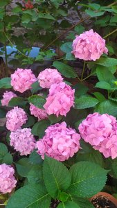 IMG_20220626_165846.jpg