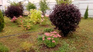P_20220918_165933_1.jpg