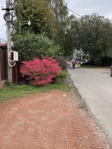 B403E742-DE51-444C-9BBE-F1BECDA38441.jpeg
